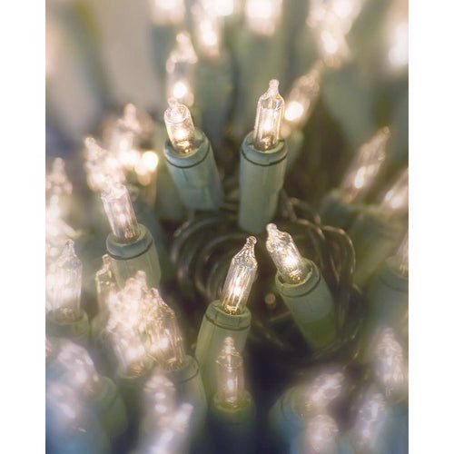 Celebrations Incandescent Mini Clear/Warm White 100 ct String Christmas Lights 20 ft.