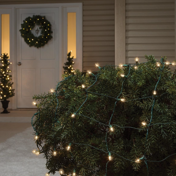 Celebrations Incandescent Net Christmas Lights Mini Clear/Warm White 100 CT